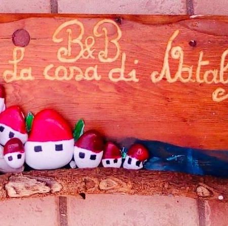 La Casa Di Nataly Bed & Breakfast Fregenae Dış mekan fotoğraf