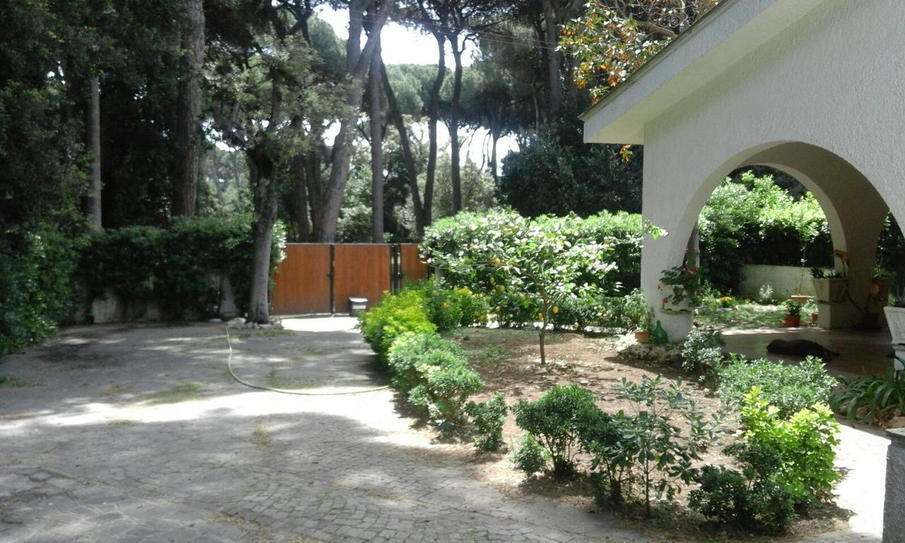 La Casa Di Nataly Bed & Breakfast Fregenae Dış mekan fotoğraf