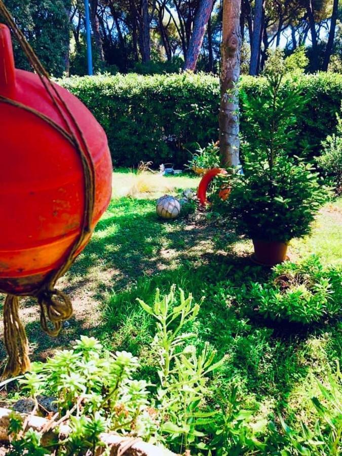 La Casa Di Nataly Bed & Breakfast Fregenae Dış mekan fotoğraf