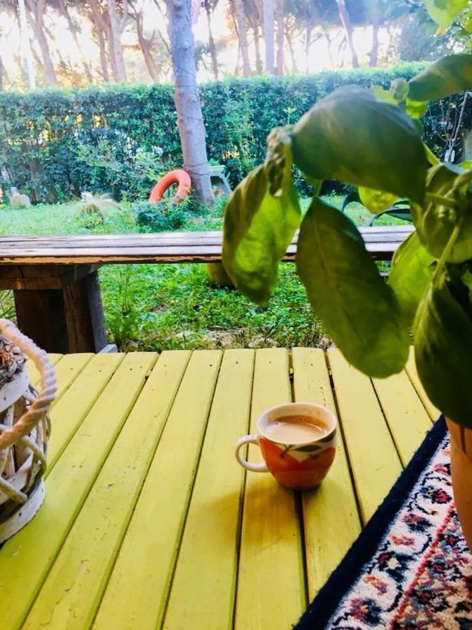 La Casa Di Nataly Bed & Breakfast Fregenae Dış mekan fotoğraf