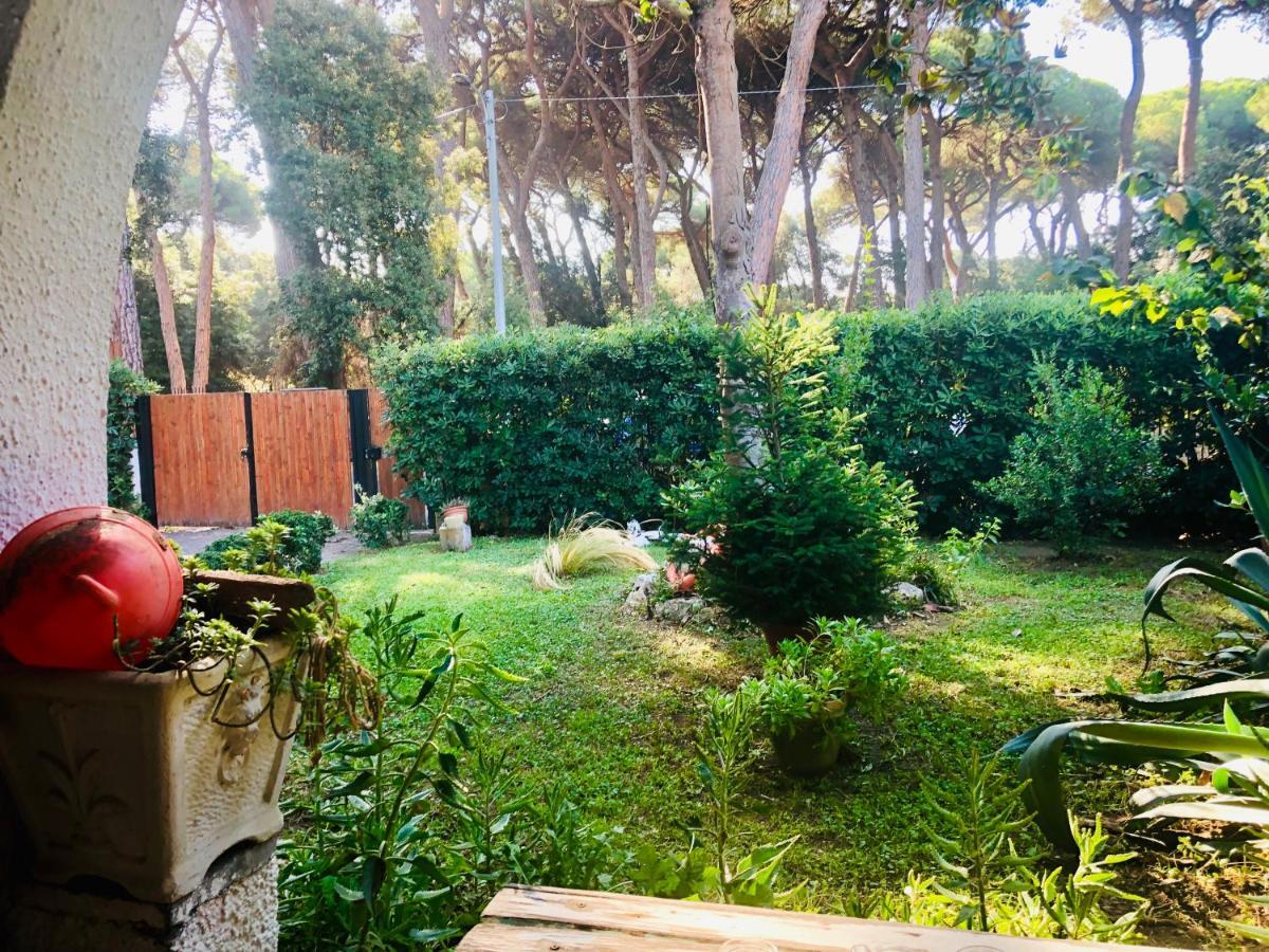 La Casa Di Nataly Bed & Breakfast Fregenae Dış mekan fotoğraf