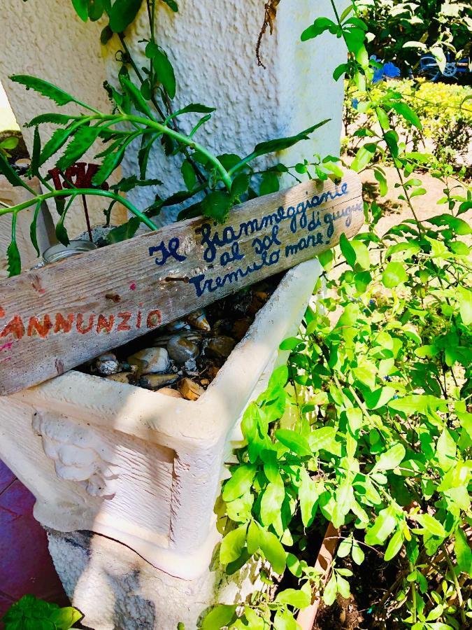 La Casa Di Nataly Bed & Breakfast Fregenae Dış mekan fotoğraf